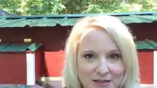 Vlog Every Day In June Challenge : What dishes do your family and friends request the most?