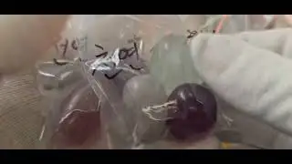 #천연보석#옥#비취#나만의 #유색보석#금#은#수정