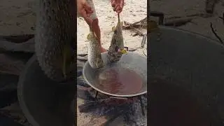 Frying Puffer Fish: Riverbank Catch to Pan Sizzle
