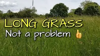 Minelab equinox 800, metal detecting the long grass, metal detecting uk 2019