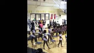 Golden High Steppers GHS