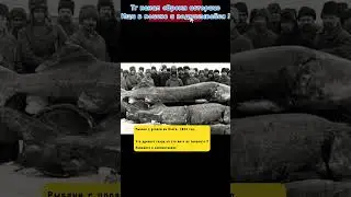 Какую рыбу могли поймать рыбаки на Волге в 1924 году #история #history #shorts #ссср