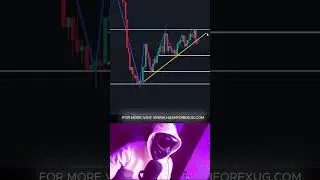 The REAL Reason Behind Support & Resistance Levels
