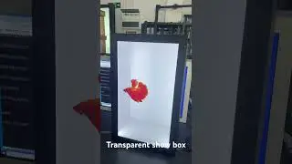 Transparent lcd showcase, make it 3D effect for videos. #transparentbox #creativeideas