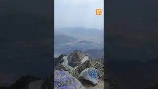 Taif | Hada View #taif #meccka #riyadh #travel #shorts #trending #viral #mountains #hiking #nature