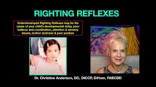 The Righting Reflexes!