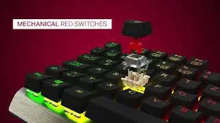 Lioncast LK200 RGB E-Sports Gaming Tastatur - Product Trailer