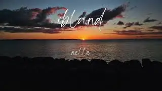nelle - ibland (lyrics)
