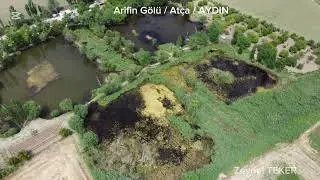 Arifin G&ouml;l&uuml; At&ccedil;a AYDIN