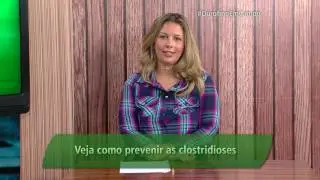 Carbúnculo Sintomático: o que fazer?