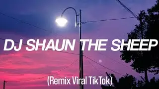 DJ SHAUN THE SHEEP - Remix Viral TikTok - (Lyrics)