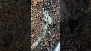 Stormwater runoff from YVSA parking lot