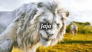 ADIÓS, BYE BYE · Rene Garcia · Lorena Vignau · Paloma Cordero - MUFASA: EL REY LEÓN