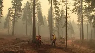 California battles massive Park Fire as another blaze spreads | REUTERS