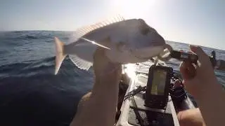 Kayak Fishing - Mid North Coast Snapper