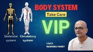The Body System Explained - Part 3 Overview  #howwebreath