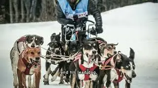 The Great Race of Mercy