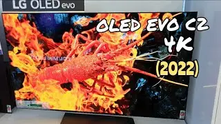 LG OLED Evo C2 55