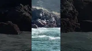 More barnacle scraping videos . Nazare Portugal coastline