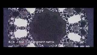 B I G  J A M - Entanglment Matrix
