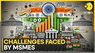MSME Sector's Wishlist From India's Budget | World News | WION