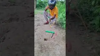 Farmer's Rat hunting Trap 22 #survival #rathunt #rattrap #farming