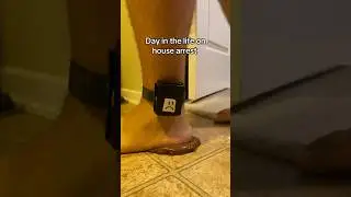 Day in The Life on House Arrest