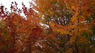 2018 Fall colors in Maine, Number 3 Mountain Road, Route 6 towards Moosehead Lake
