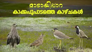 Views of Kakkapoopadam | Madayippara | Kannur | Gods Own Country
