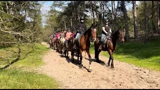 Ponykamp bij Natuurpoort van Loon