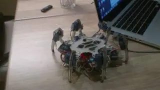 alpha mini hexapod  in action