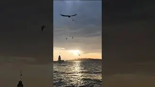 &uuml;sk&uuml;dar sahil martılar g&uuml;neş batışı &ccedil;ok g&uuml;zel 2