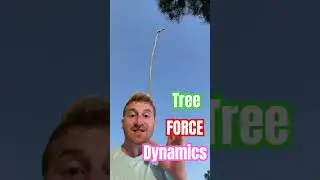 WILD RIDE!!! Tree Force Dynamics! #physics #arboriculture #whip #treework #closecall #arborist #woah
