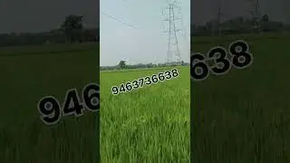 8 Killa land for sale