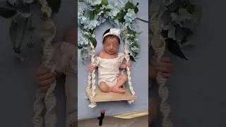 Newborn baby photoshoot swing props and blue flowers