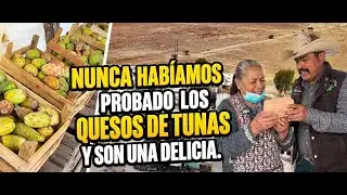 NUNCA AVIAMOS PROBADO LOS QUESOS DE TUNAS Y SON UNA DELICIA
