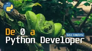 Python Simplificado: Todo lo que Tenés que Saber en un Solo Video 🚀 Programador en Europa 👨‍💻