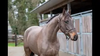 I’m Barbie Z: Imagination van ‘t Winkenshof x Niveau - Mare 2021
