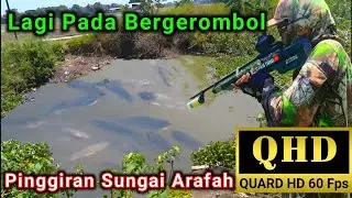 Melipir sungai arafah. Menembak ikan yang sedang bergerombol