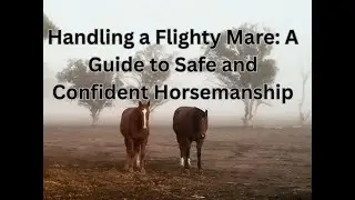 Handling a Flighty Mare: A Guide to Safe and Confident Horsemanship
