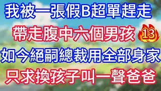 第13集：我被一張假B超單趕走，帶走腹中六個男孩。如今絕嗣總裁用全部身家，只求換孩子叫一聲爸爸。