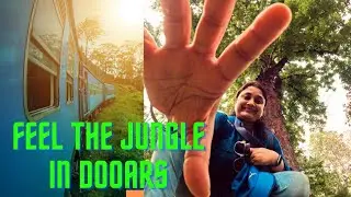 Buxa Jungle Lodge এ কেন বুকিং হয়না? Dooars Diaries/ Buxa Tiger Reserve 2023 Update
