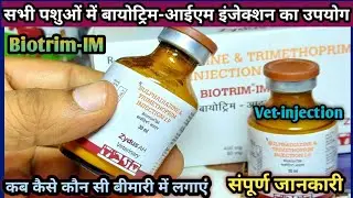 Vet-injection:-Biotrim-IM(Sulphadiazine & Trimethoprim)Ka upyog pashuon Mein konsi Disease mein kare