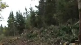 Lot 2 Liscomb Oceanfront Homesites - Nova Scotia