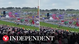 Epsom Derby Festival protester swarmed by guards and dragged off racecourse after running onto track
