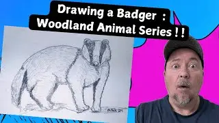 Drawing a Badger: Woodland Animal Series