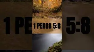 1 PEDRO 5:8