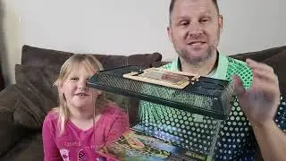 Review of Plastic Reptile Terrarium
