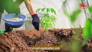 Nutrifast: Advanced Water Soluble Fertilizer for Enhanced Plant Growth