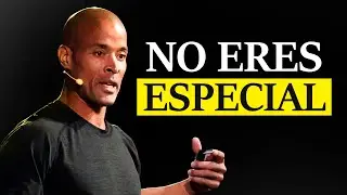 No eres especial, y eso está bien